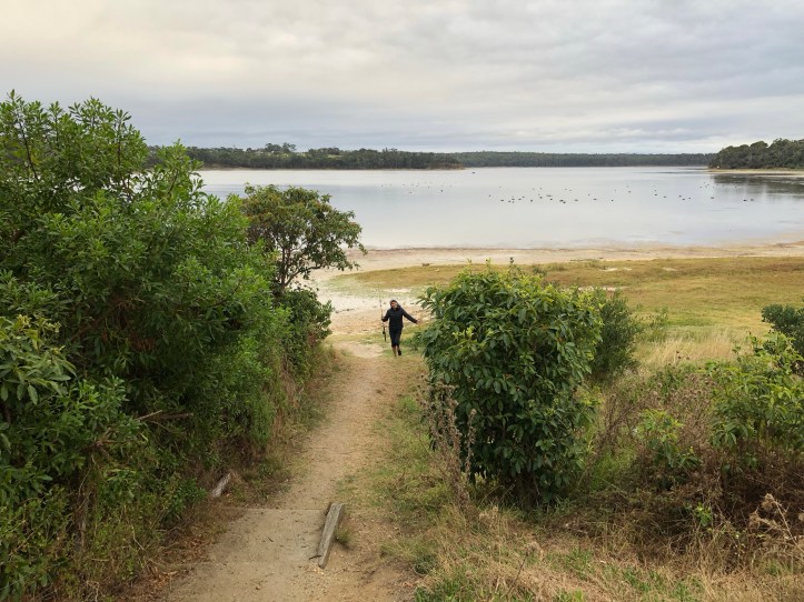 Mallie on a walk at Lake Tyers, Victoria.