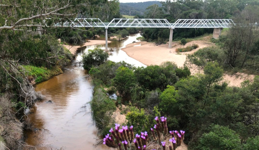Genoa River at Genoa, Victoria