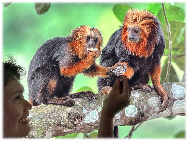 Mallie making new friends at the SeaMuseum