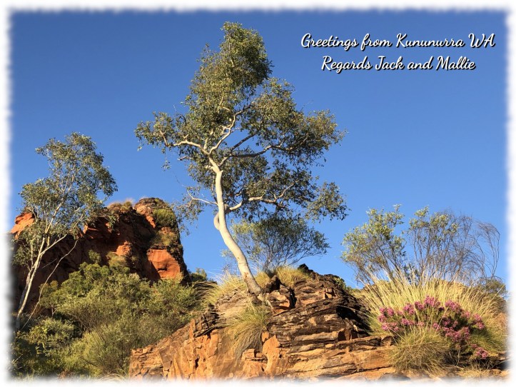 Greetings from Kununurra, Western Australia