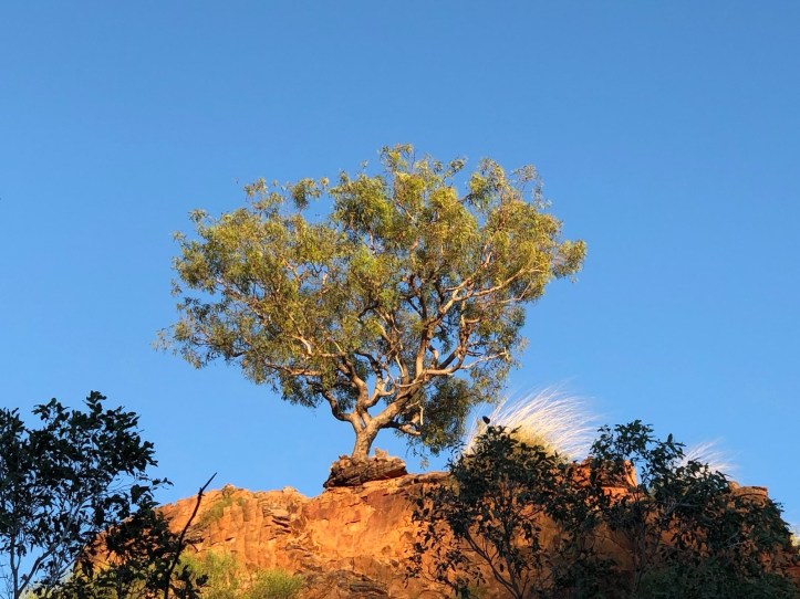 Mirima National Park near Hidden Valley Caravan Park, Kununurra Western Australia