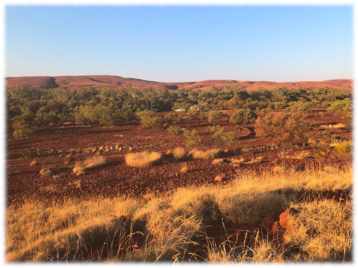 Quails Rest Campground near Rocklea, Western Australia
