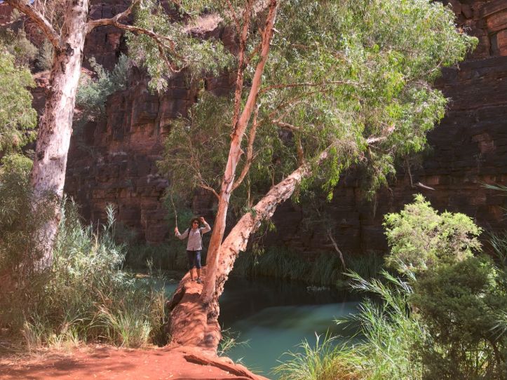 Clear Waters at Dales Gorge, Karijini National Park, Western Australia