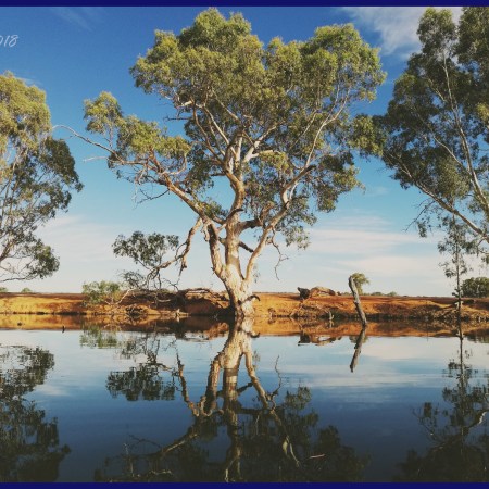 Aysons Reserve, Rochester, Victoria 2018