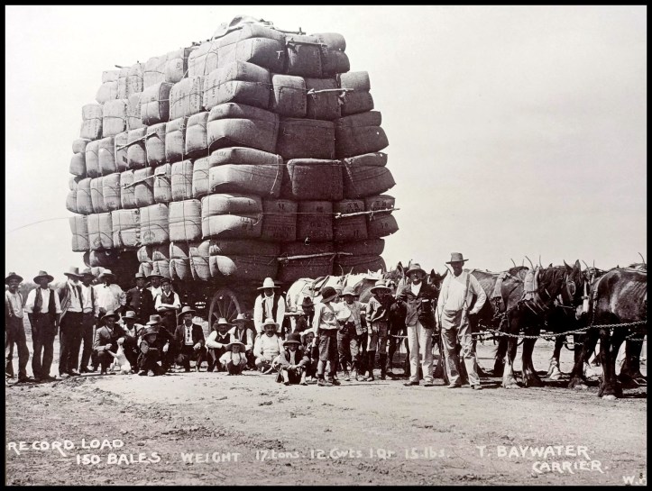 Record Load of Wool Bales, Hay, New South Wales